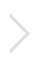 Next Section